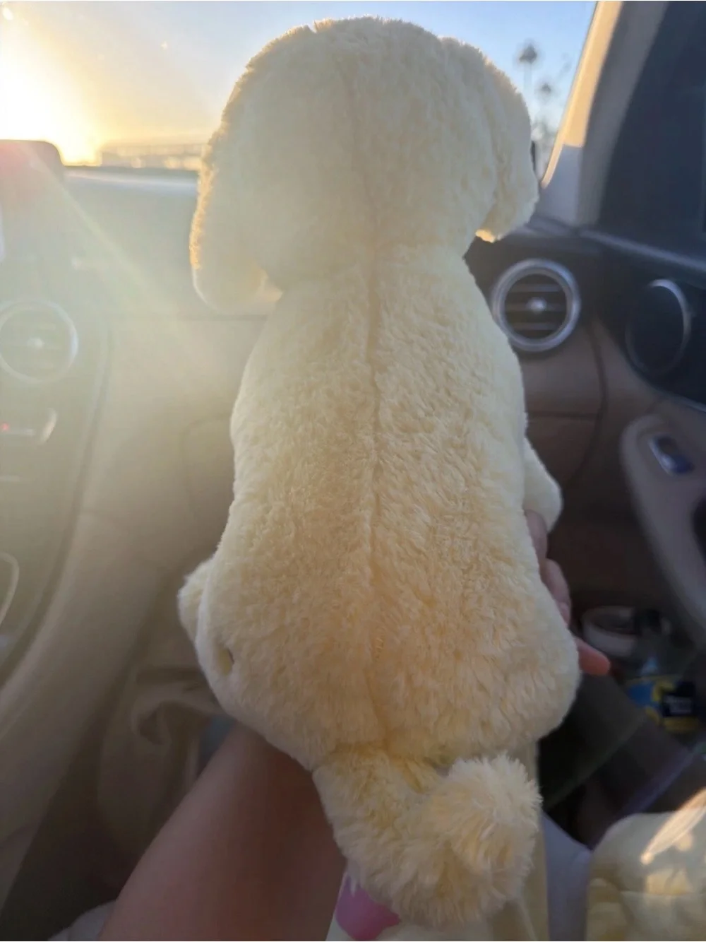 Rare F.A.O Schwarz Golden Retriever Dog Plush Toy With Bow. Great condition!